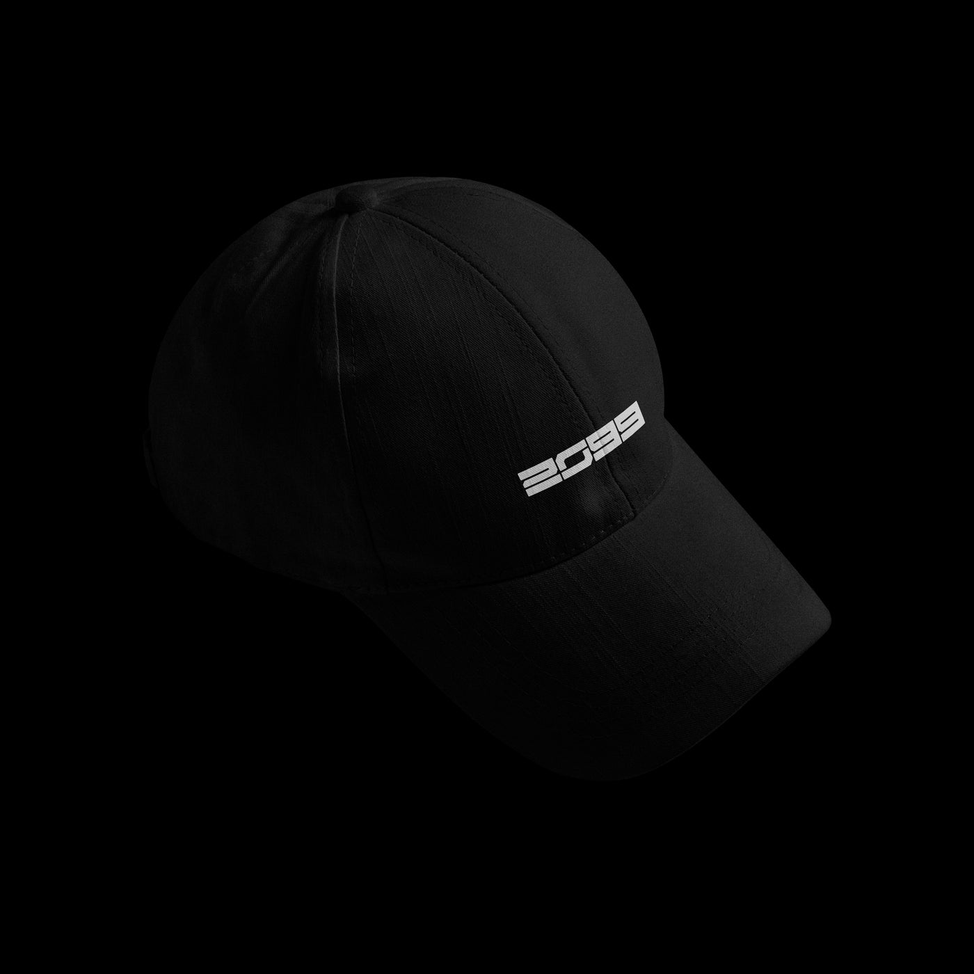 2099 HAT (SOLD OUT)